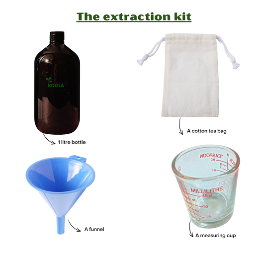 Il kit per l&#39;estrazione del tè